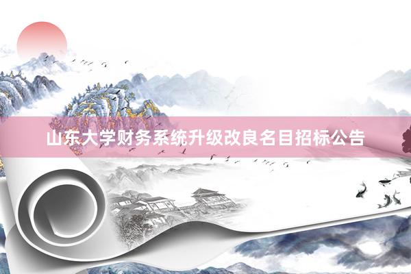 山东大学财务系统升级改良名目招标公告
